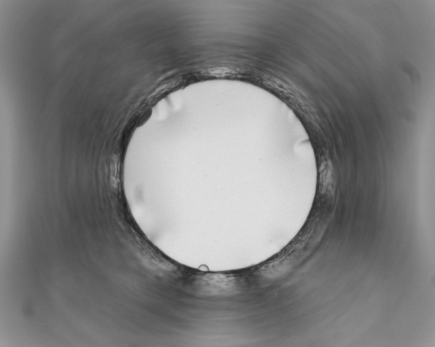 X0000111000421200907171817