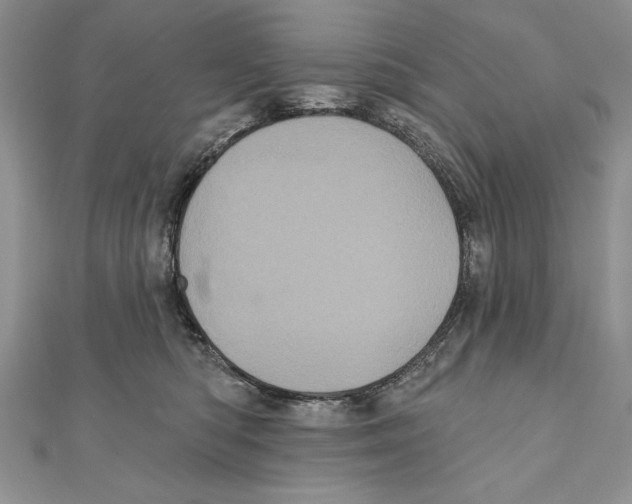 X0000111000422200907171817