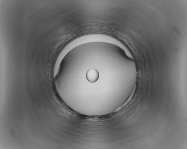 X0000111000423200907171817