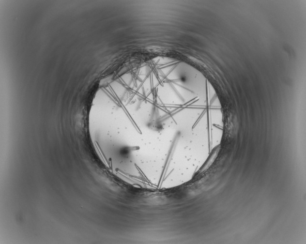 X0000111000424200907171817