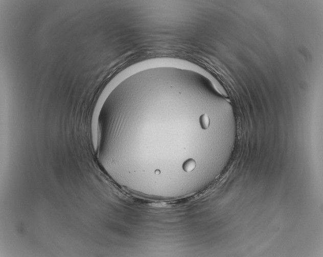 X0000111000425200907171817