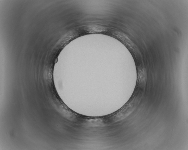 X0000111000426200907171817