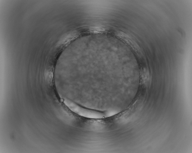 X0000111000427200907171817