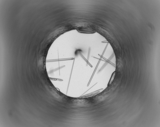 X0000111000428200907171817