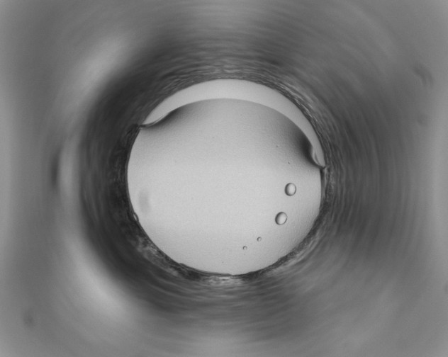 X0000111000429200907171817