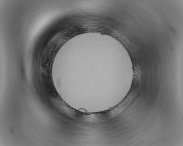 X0000111000430200907171817