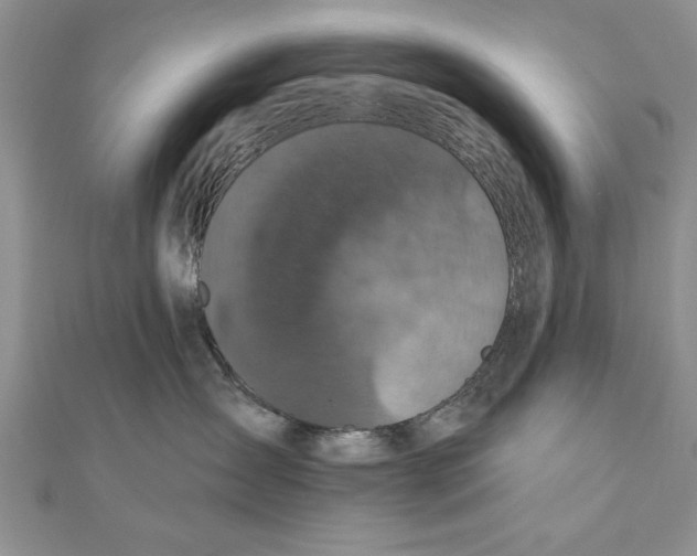 X0000111000431200907171817