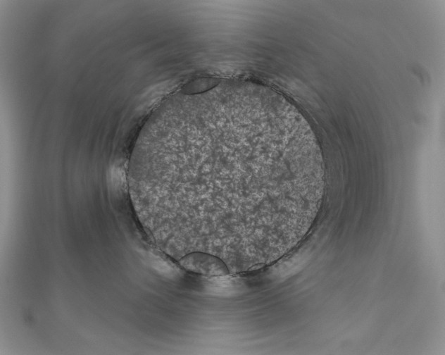 X0000111000432200907171817