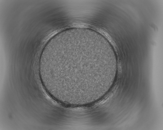 X0000111000433200907171817