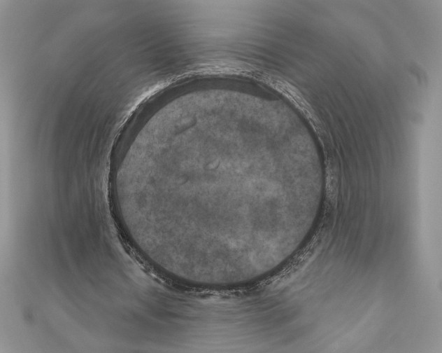 X0000111000434200907171817