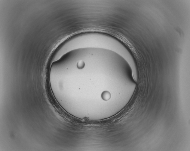 X0000111000436200907171817