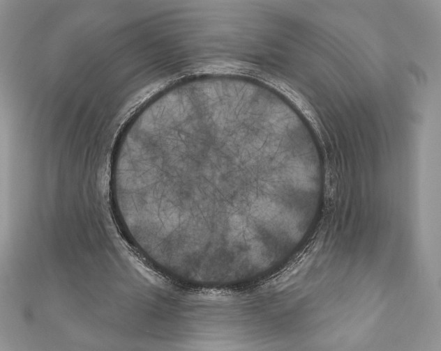 X0000111000437200907171817