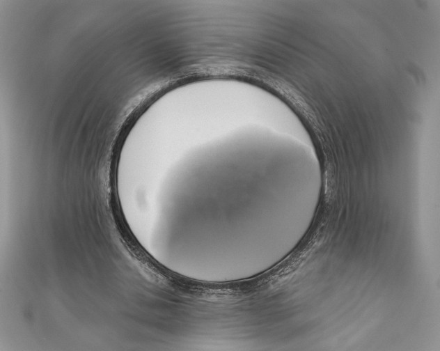 X0000111000438200907171817