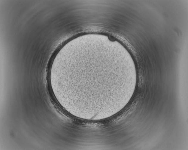 X0000111000439200907171817