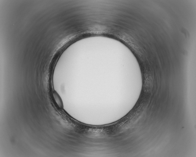 X0000111000440200907171817