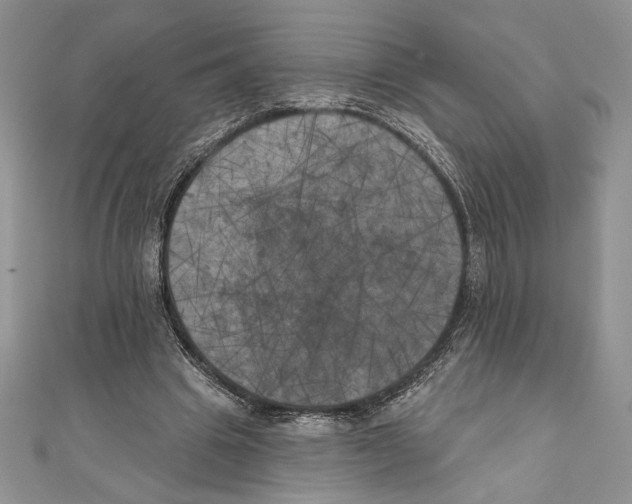 X0000111000441200907171817