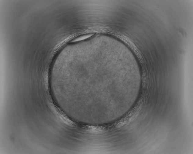 X0000111000442200907171817