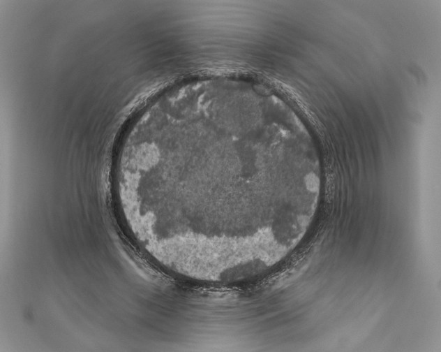 X0000111000443200907171817