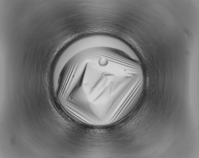 X0000111000444200907171817