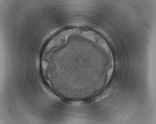 X0000111000446200907171817