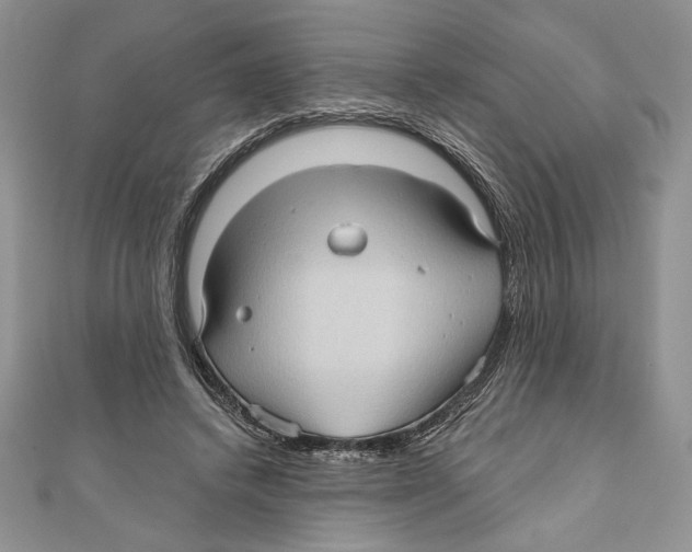 X0000111000448200907171817