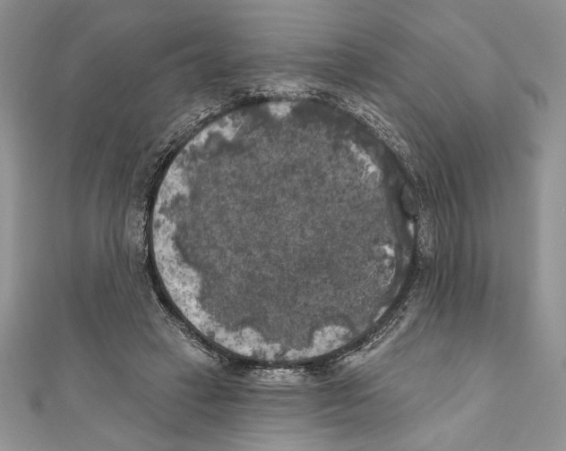 X0000111000449200907171817