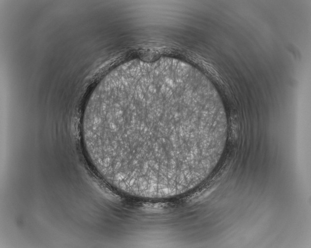 X0000111000450200907171817