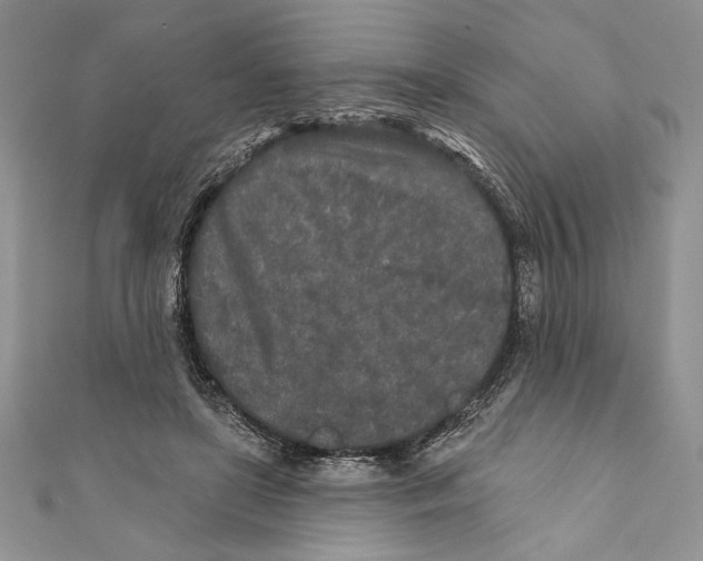 X0000111000451200907171817