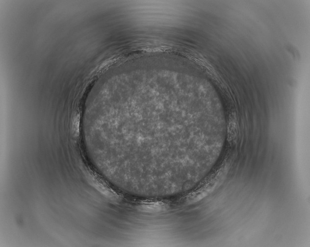 X0000111000454200907171817