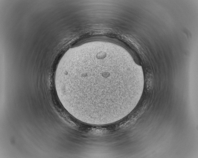 X0000111000455200907171817