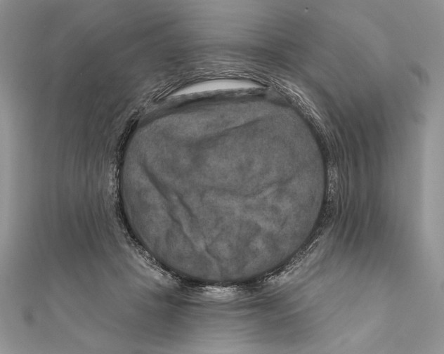 X0000111000457200907171817