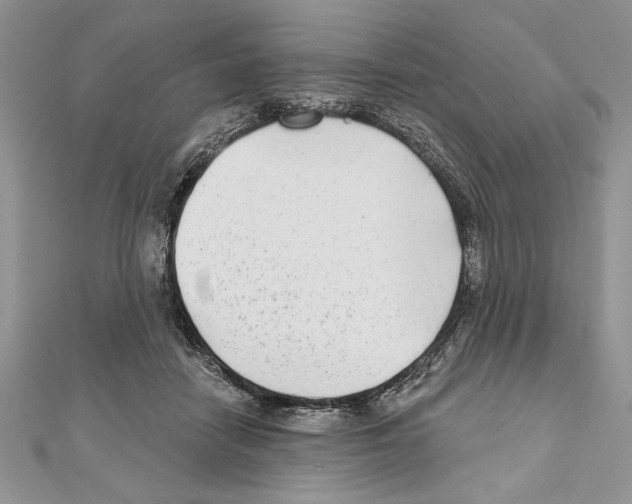 X0000111000458200907171817