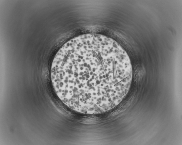 X0000111000459200907171817