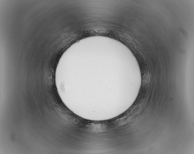 X0000111000464200907171817