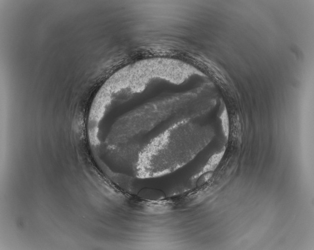 X0000111000465200907171817