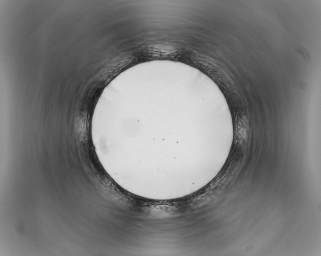 X0000111000468200907171817