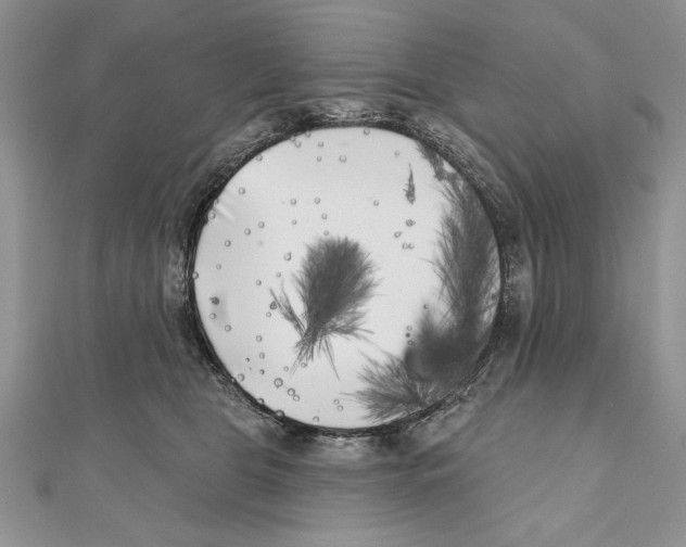 X0000111000469200907171817