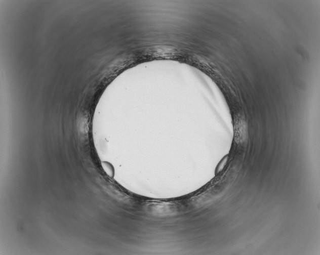 X0000111000472200907171817