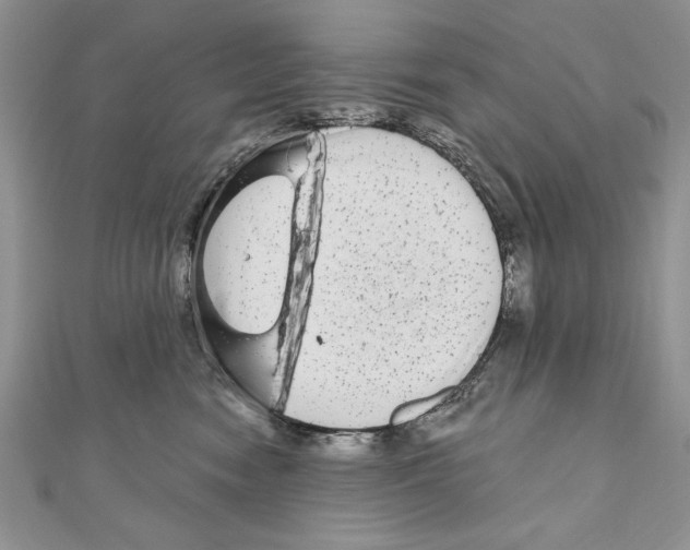 X0000111000474200907171817