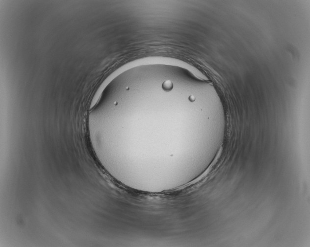 X0000111000475200907171817