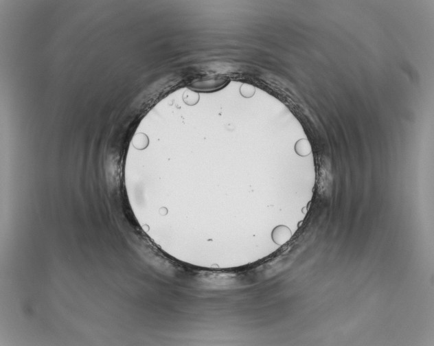 X0000111000476200907171817