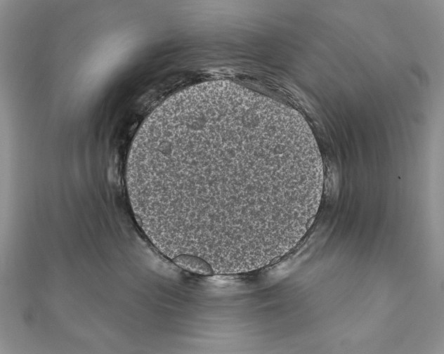 X0000111000477200907171817