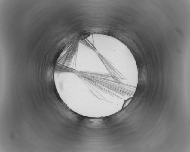 X0000111000478200907171817