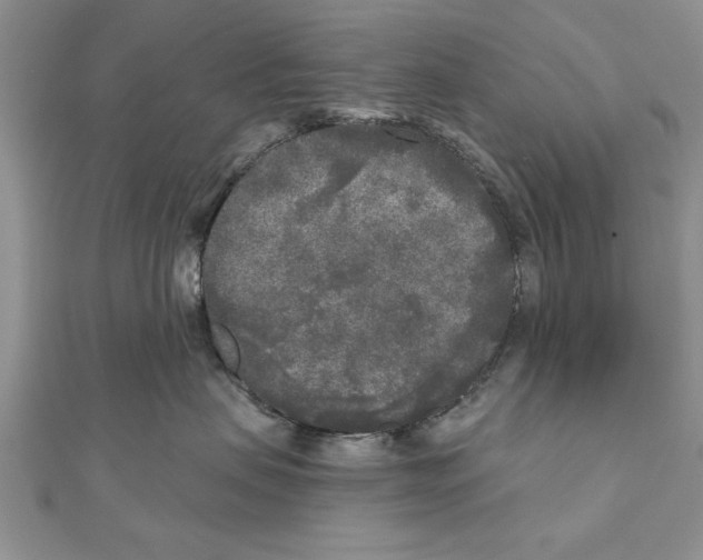 X0000111000479200907171817