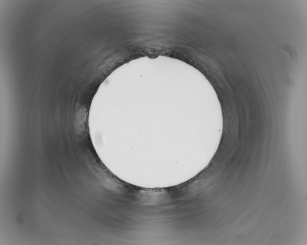 X0000111000480200907171817