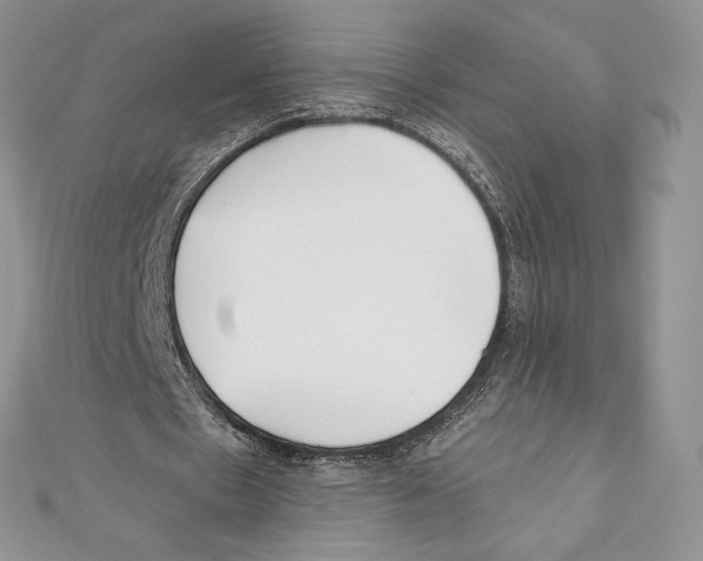 X0000111000481200907171817