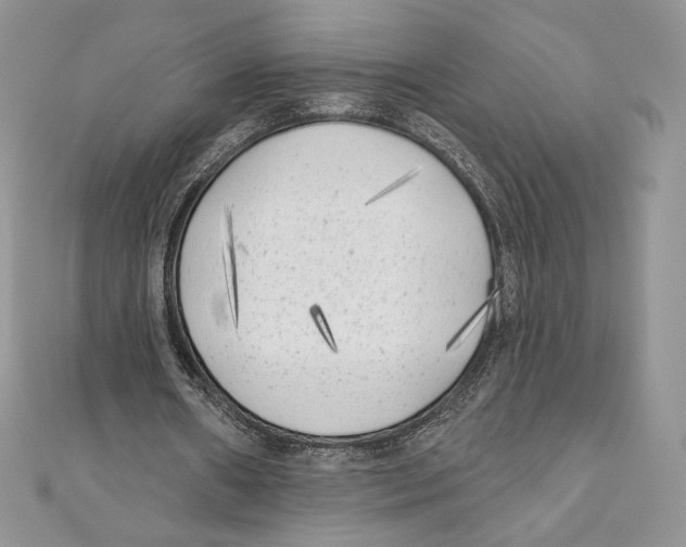 X0000111000482200907171817