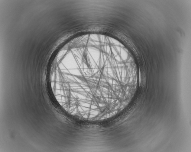 X0000111000483200907171817