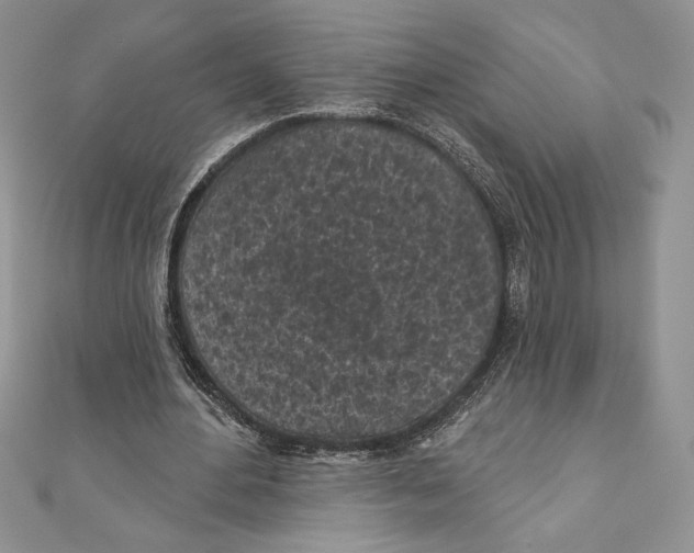 X0000111000484200907171817