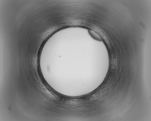 X0000111000485200907171816